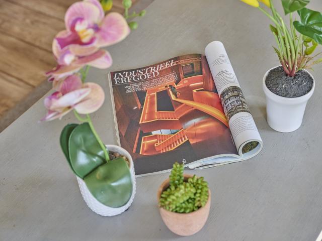 Ambiente / Nahaufnahme