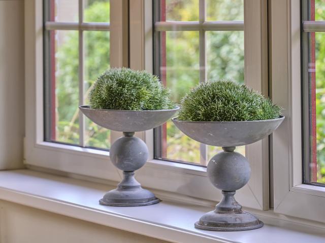 Ambiente / Nahaufnahme