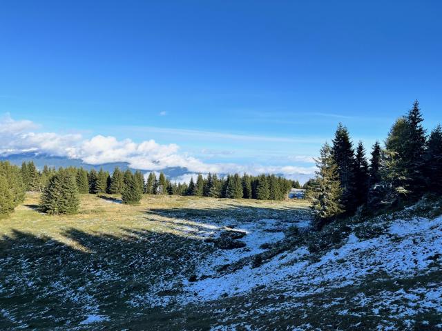 A proximité directe (<1 km)