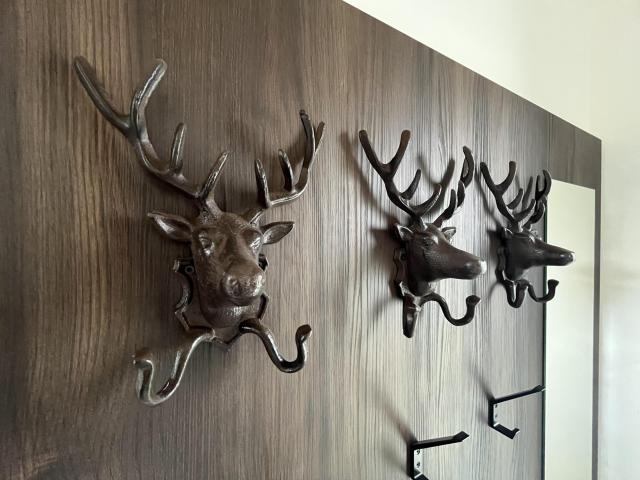 Ambiance / plan rapproché