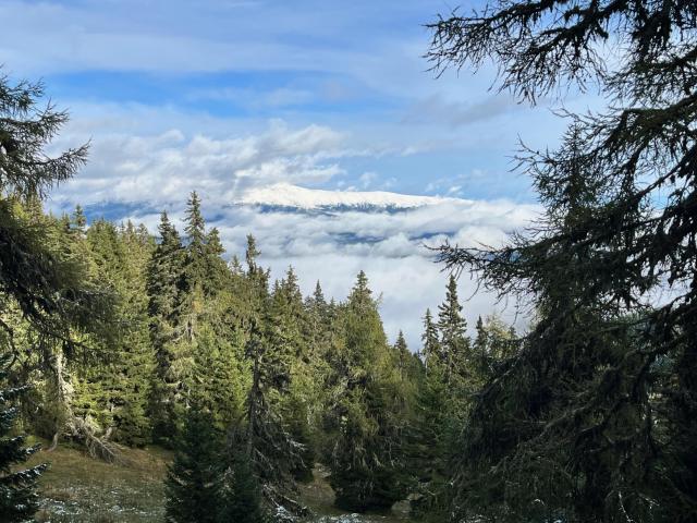 Dans les environs (1-5 km)