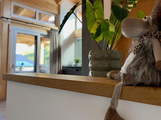 Ambiance / plan rapproché