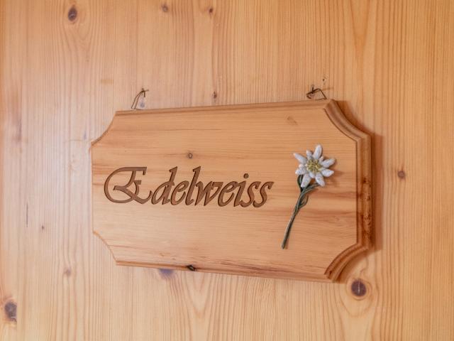 Ambiance / plan rapproché