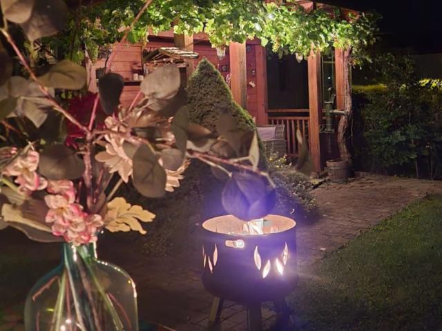 Ambiente / Nahaufnahme