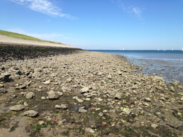 Immediate Surroundings (<1 km)