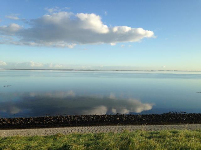 Immediate Surroundings (<1 km)