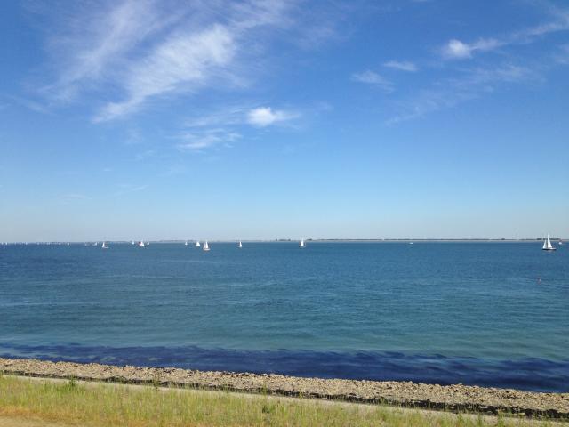 Immediate Surroundings (<1 km)