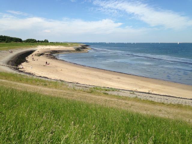 Immediate Surroundings (<1 km)