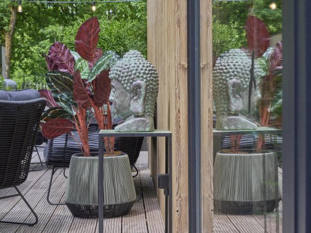 Ambiente / Nahaufnahme