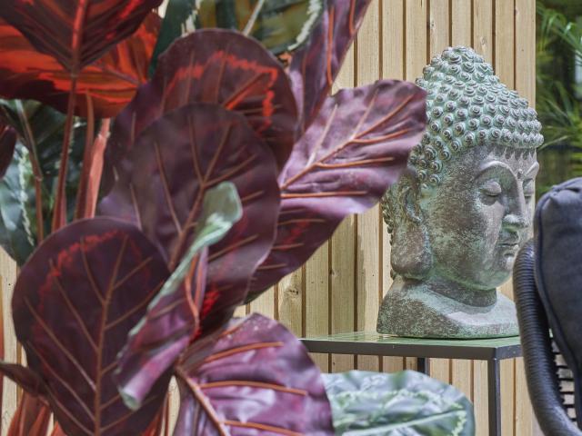 Ambiente / Nahaufnahme