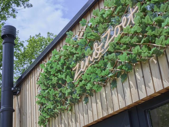 Ambiente / Nahaufnahme