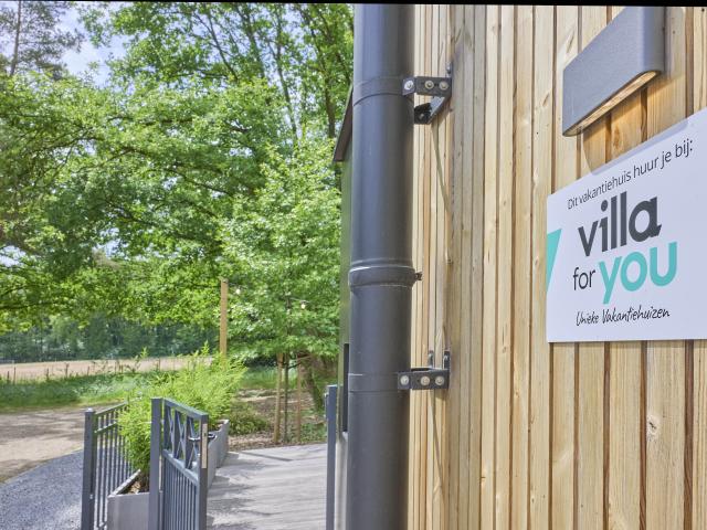 Ambiente / Nahaufnahme