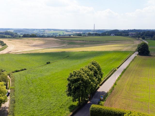 Directe omgeving [zomer] (<1 km)