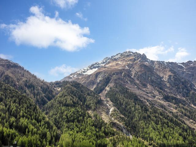 In der Region (>5 km)