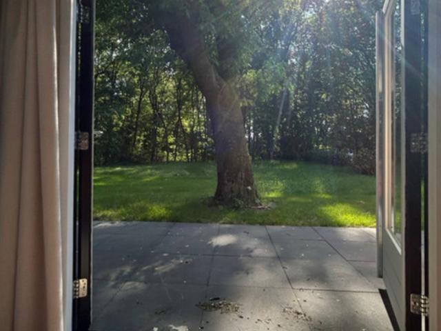 Aussicht vom Ferienhaus