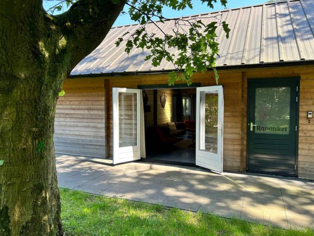 Ambiente / Nahaufnahme