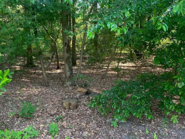 Direkte Umgebung (<1 km)