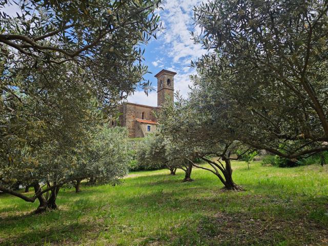 Direkte Umgebung [Sommer] (<1 km)