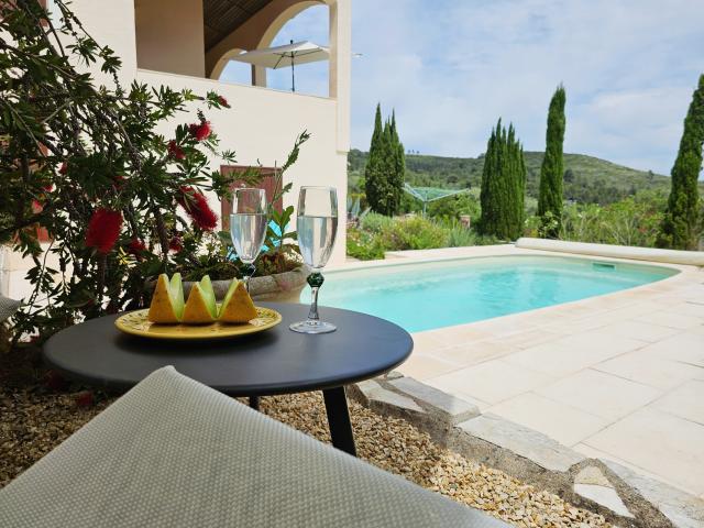 Pool des Ferienhauses