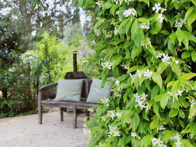 Ambiente / Nahaufnahme