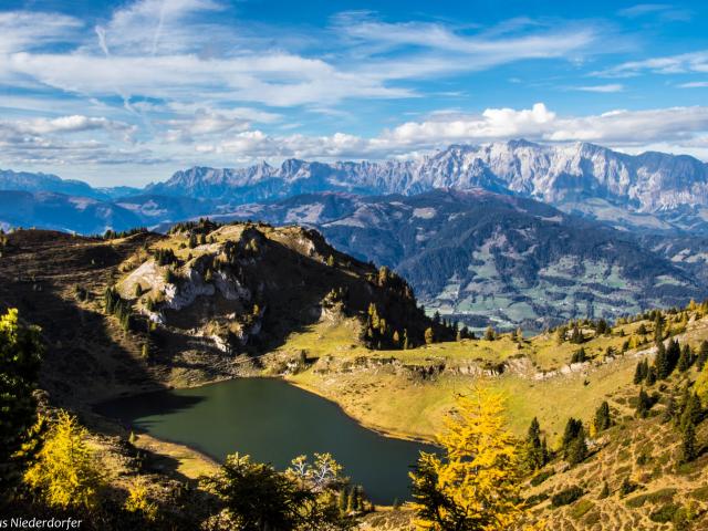 In der Region (>5 km)