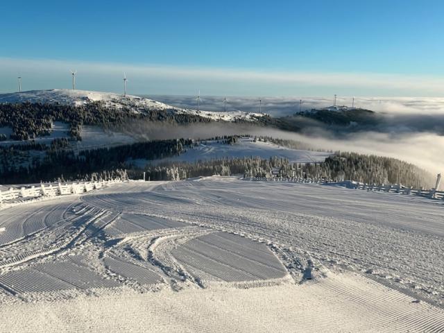 Region (>5 km)