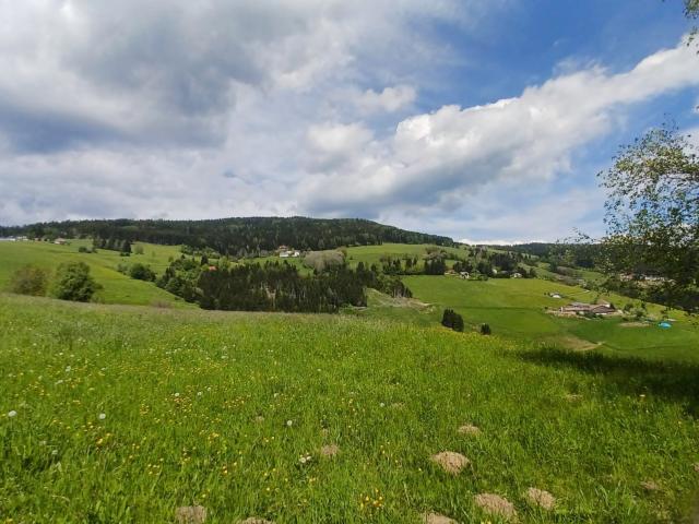 In der Region [Sommer] (>5 km)