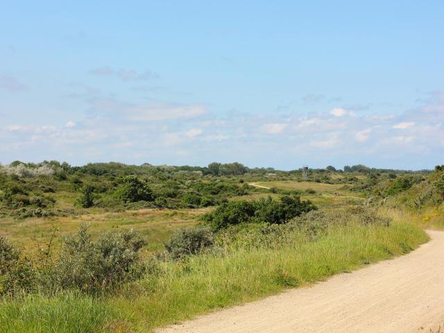 Umgebung [Sommer] (1-5 km)