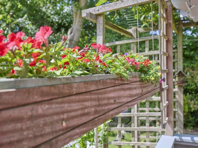 Ambiente / Nahaufnahme