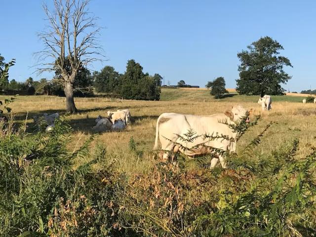 Aussicht vom Ferienhaus [Sommer]