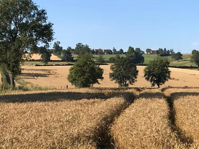 Aussicht vom Ferienhaus [Sommer]