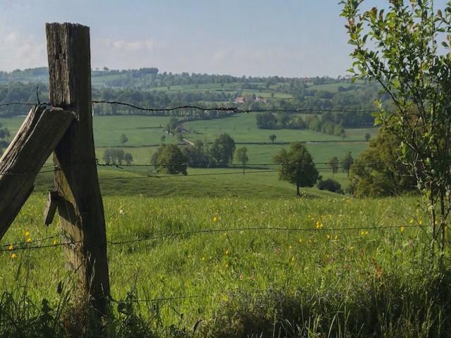 Direkte Umgebung [Sommer] (<1 km)