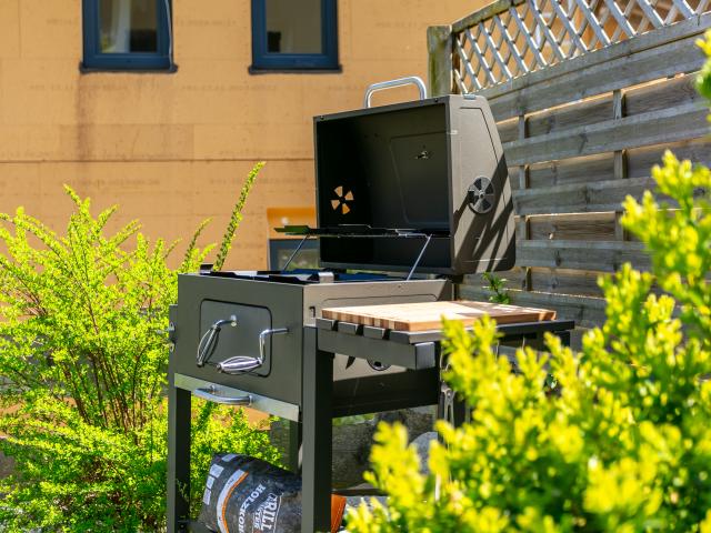 Ambiance / plan rapproché