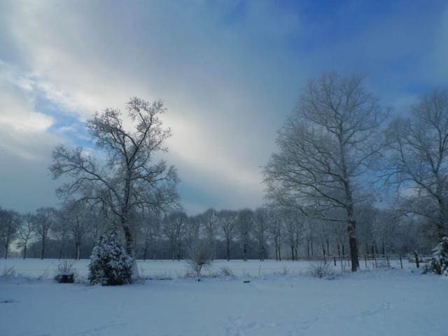 Direkte Umgebung (<1 km)