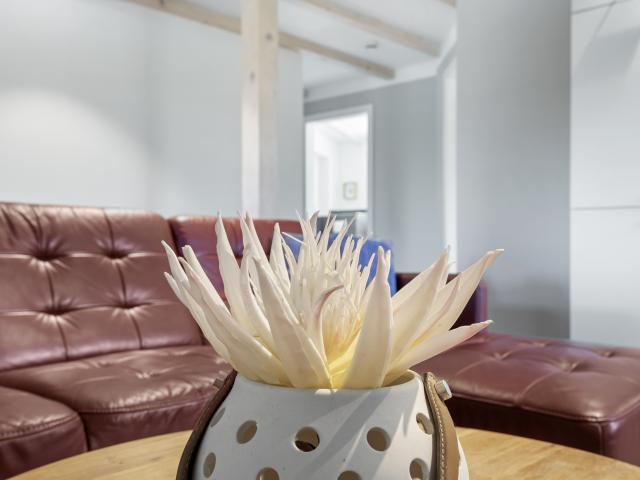 Ambiente / Nahaufnahme