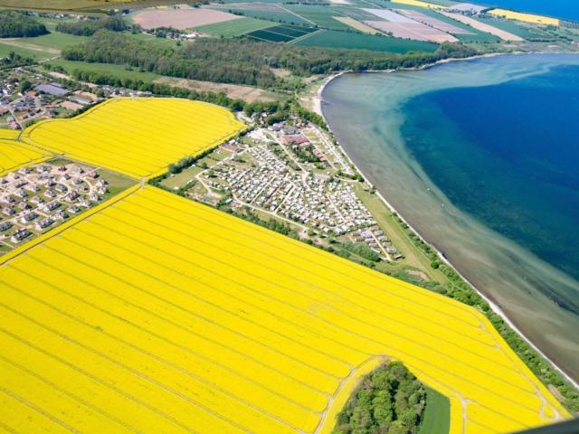 Direkte Umgebung [Sommer] (<1 km)