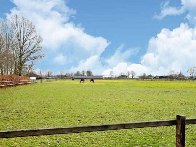 A proximité directe (<1 km)