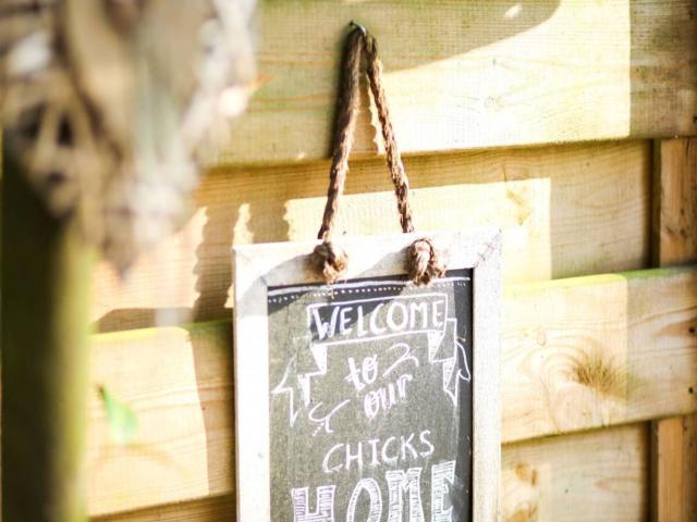 Ambiance / plan rapproché