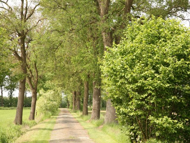 Direkte Umgebung [Sommer] (<1 km)