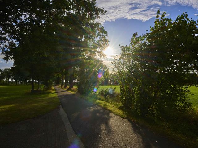 Umgebung [Sommer] (1-5 km)