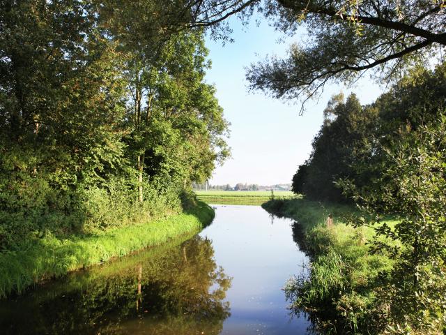 Umgebung [Sommer] (1-5 km)