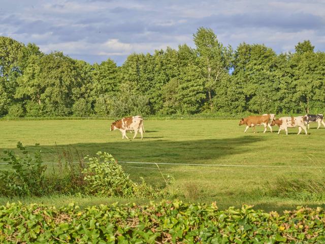 Umgebung [Sommer] (1-5 km)