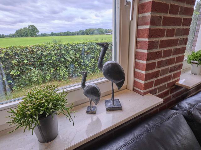 Ambiente / Nahaufnahme