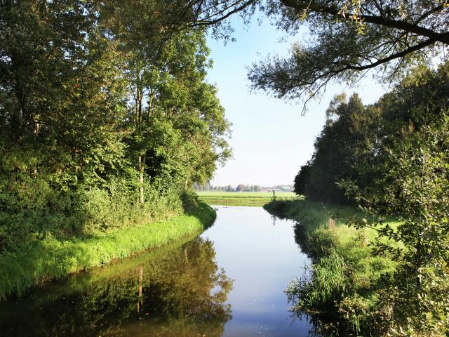 Direkte Umgebung [Sommer] (<1 km)