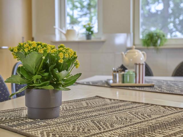 Ambiente / Nahaufnahme