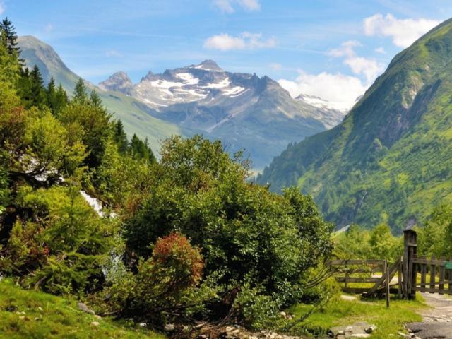 In der Region (>5 km)