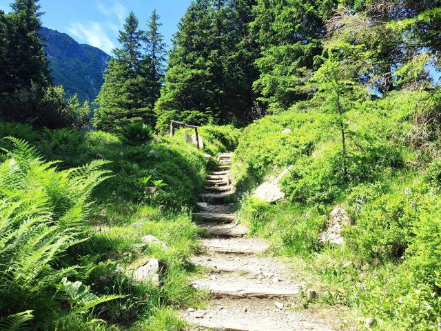 Dans les environs (1-5 km)