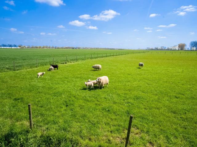 Direkte Umgebung [Sommer] (<1 km)