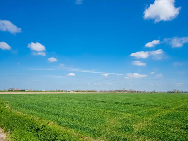 Aussicht vom Ferienhaus [Sommer]