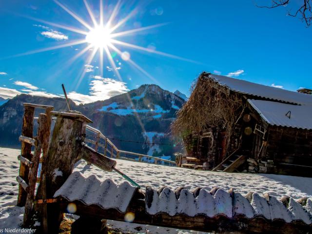 Directe omgeving (<1 km)